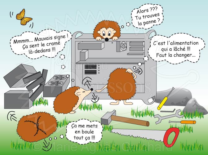 Panne d'ordinateur au Hameau des hérissons