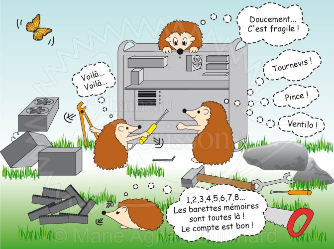 Panne d'ordinateur au Hameau des hérissons