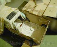 Nid de P'tite Princesse