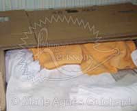 Nid de P'tite Princesse