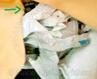 Nid de P'tite Princesse